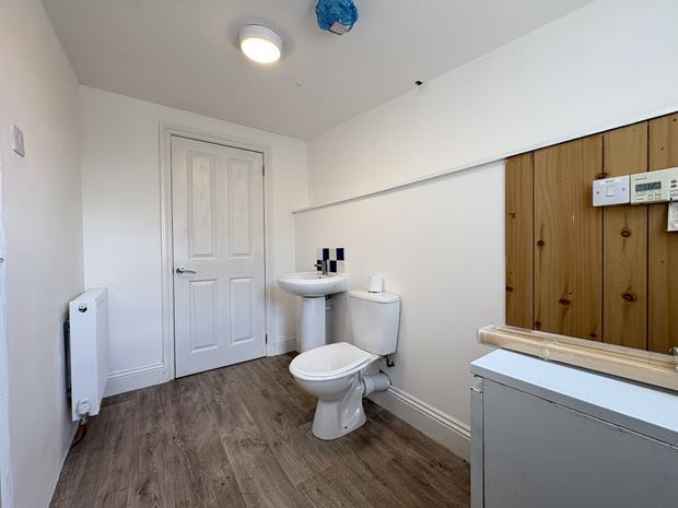 Downstairs toilet - utility