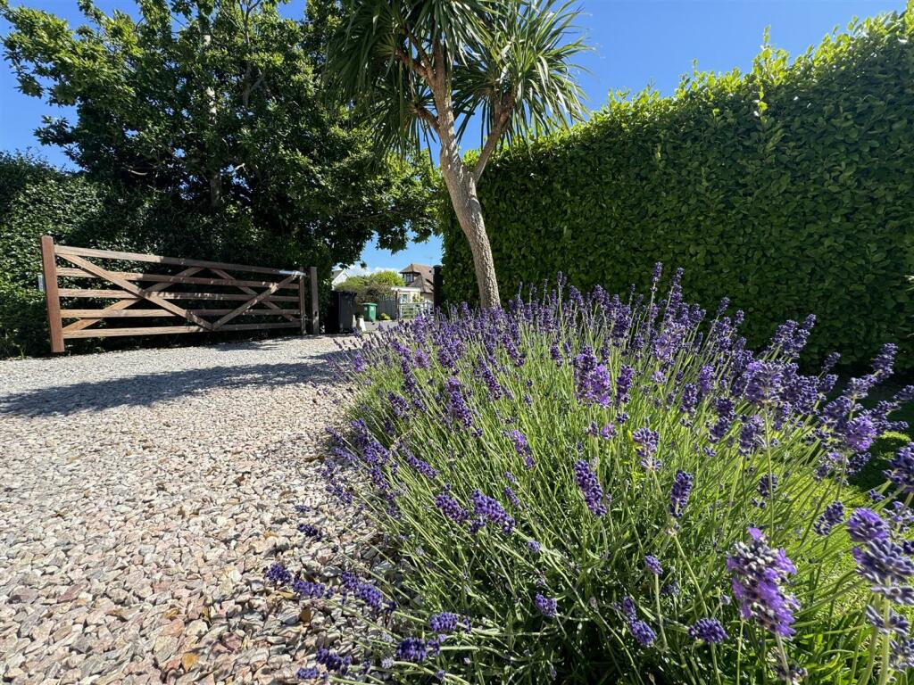 FRONT GARDENS