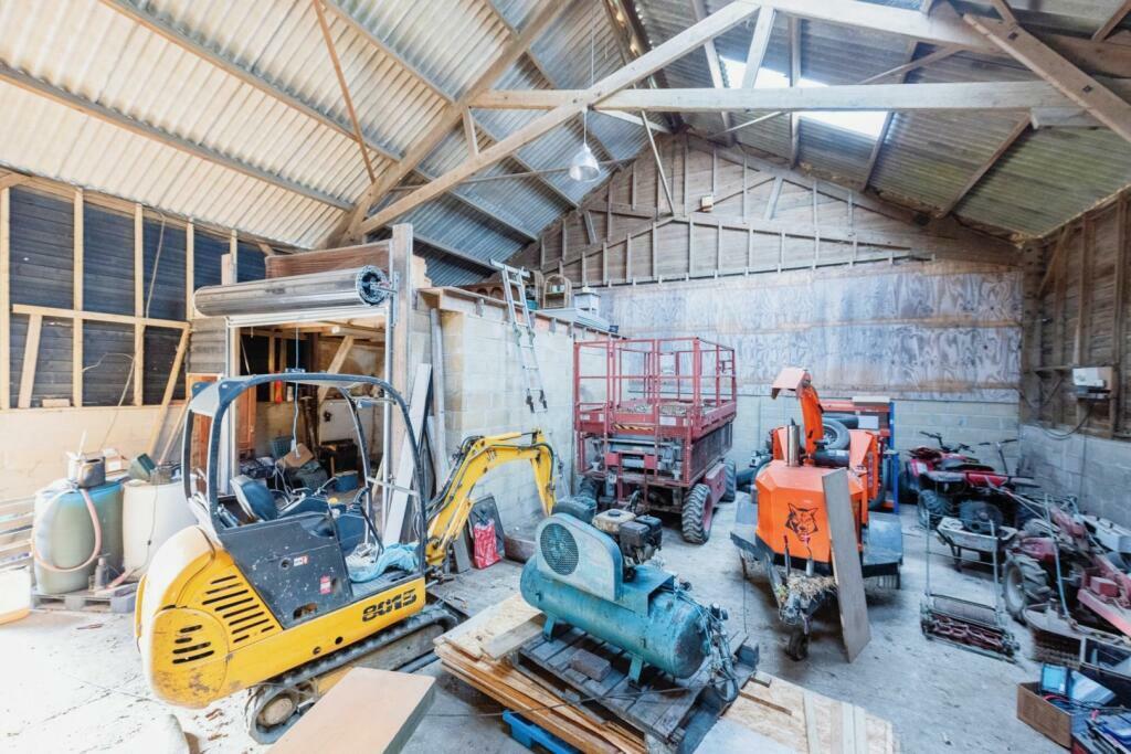 Large Barn Strawberry 5.jpeg