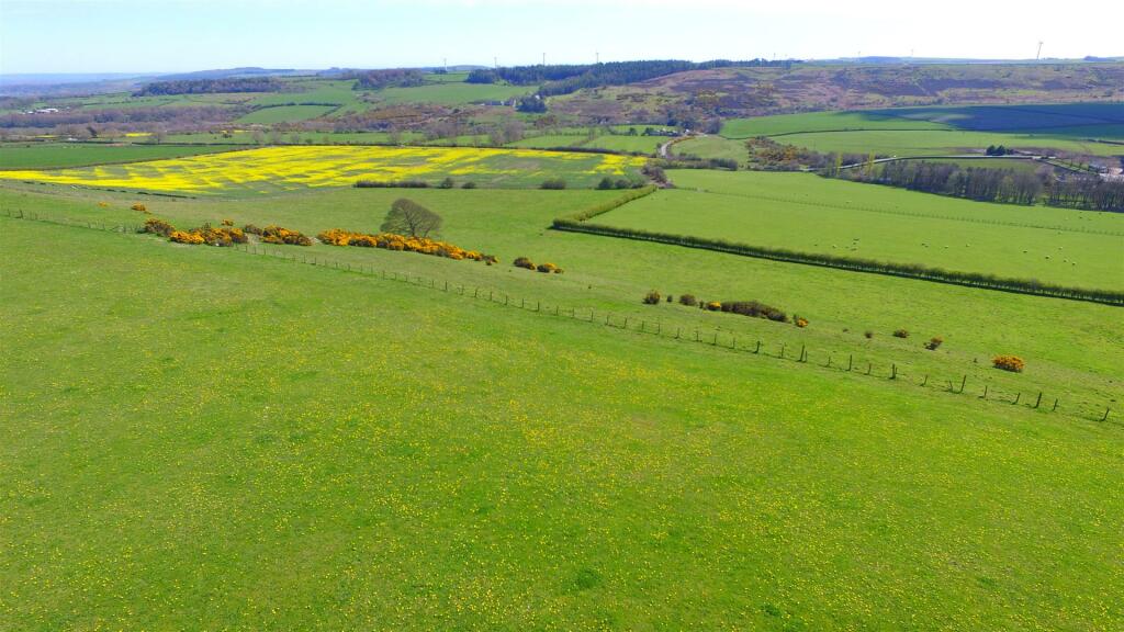 DJI_0488.JPG