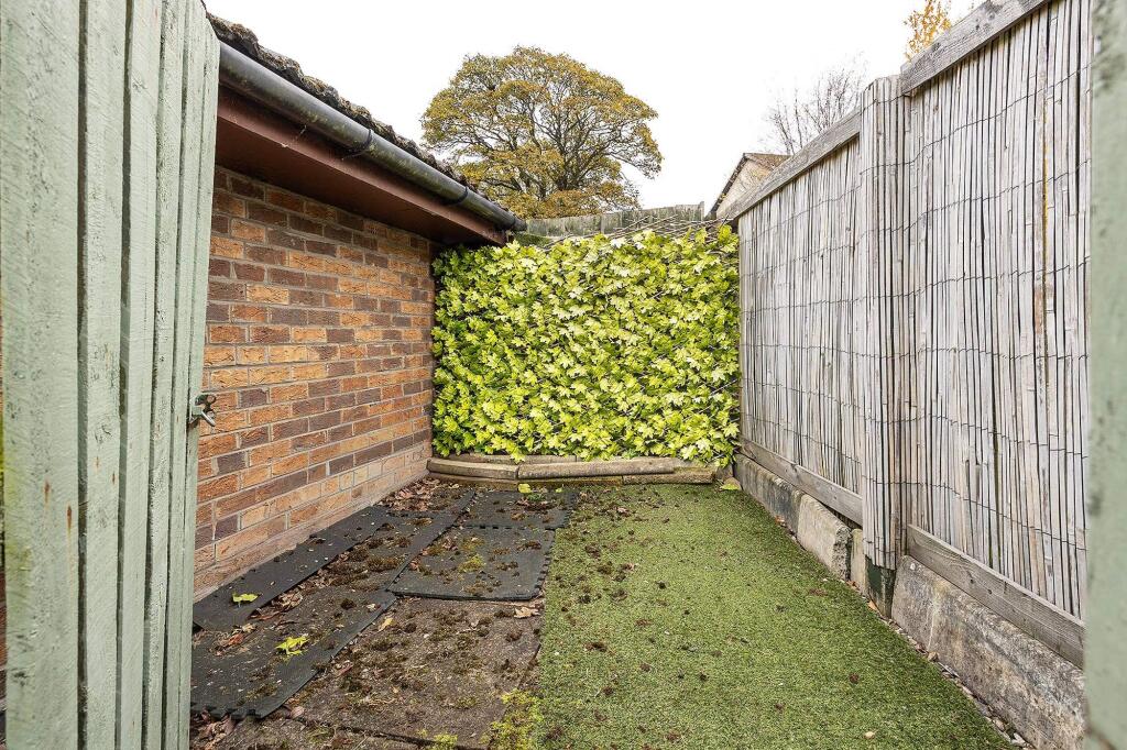 Back Garden