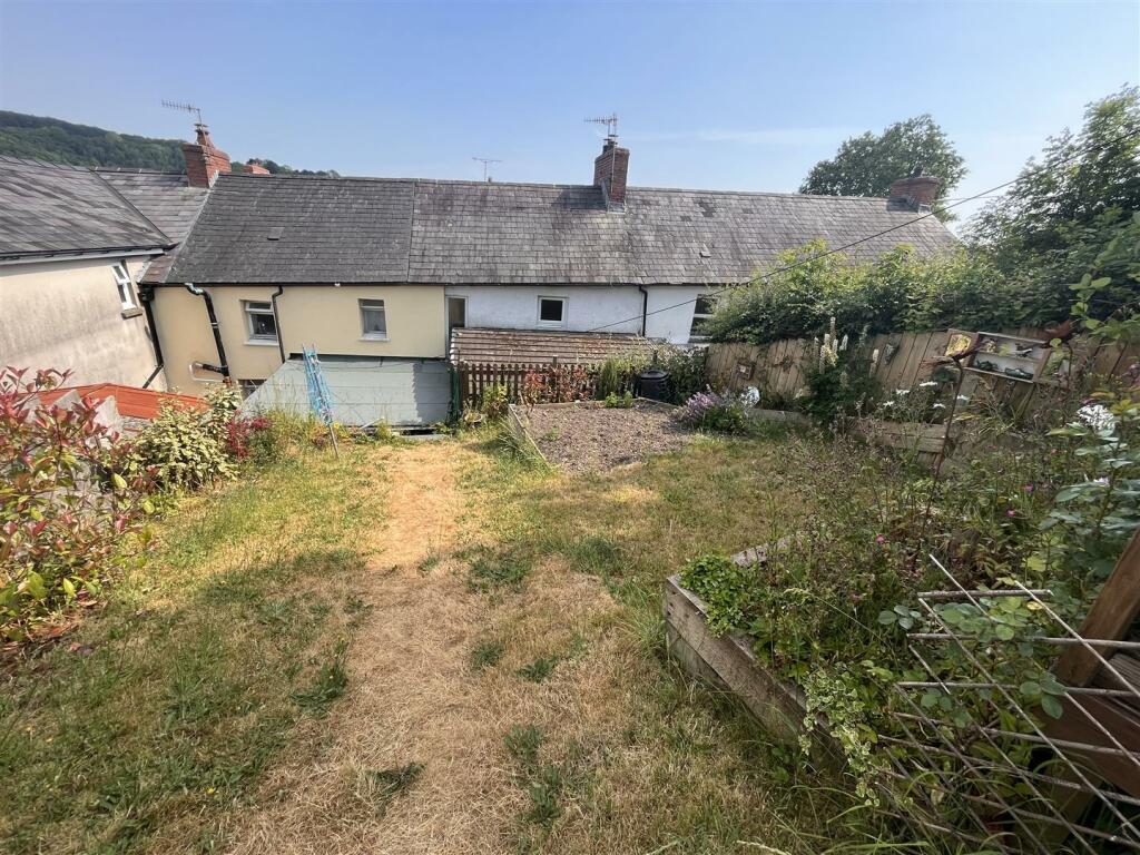 garden 3.JPG