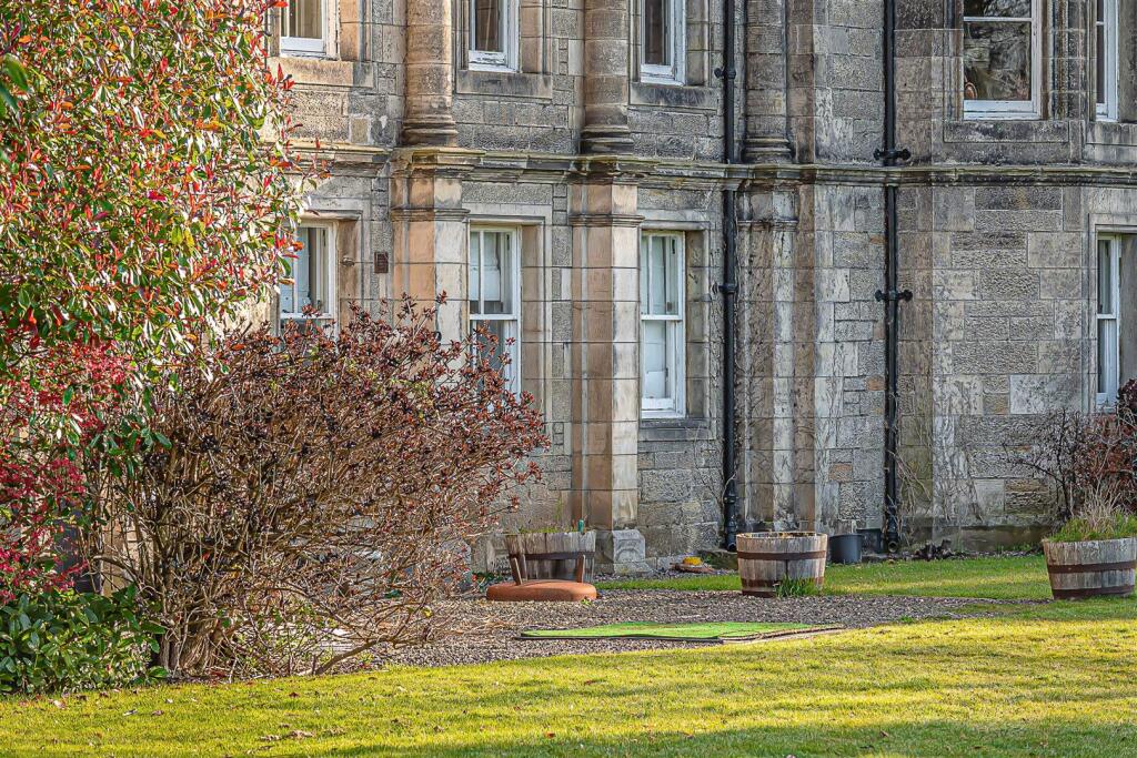 untitled (40 of 1).JPG