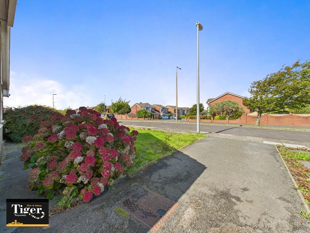 CAM03440G0-PR0419...