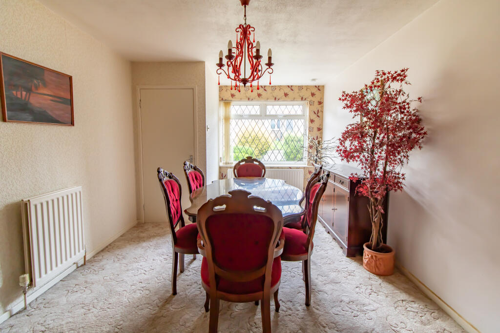 IMG 7753 T202507041441.jpg