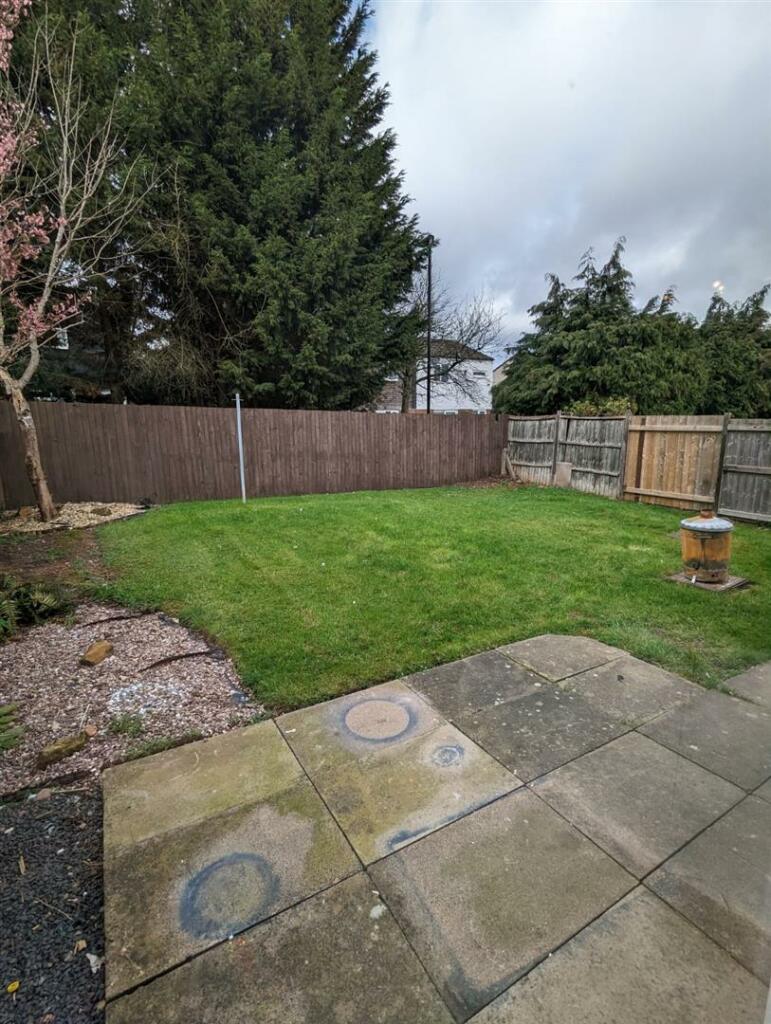 Garden.jpeg