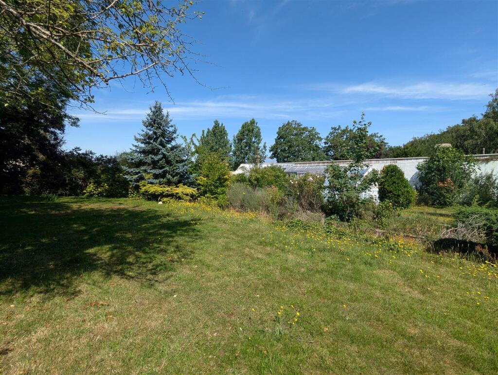 PXL_20250625_093421818.jpg