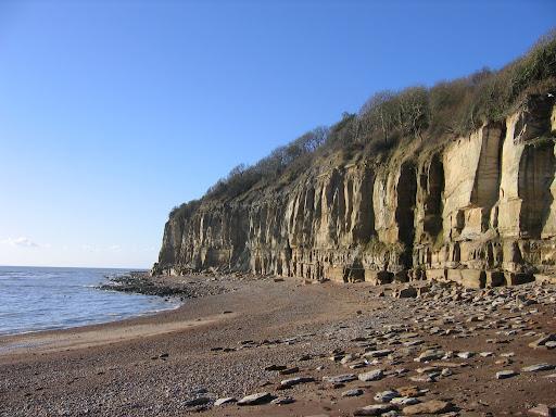 Fairlight Cove.jpg