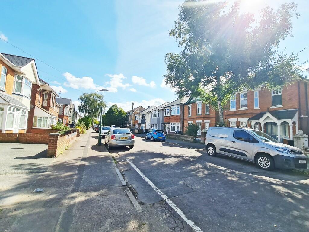 Tree Lined Avenue
