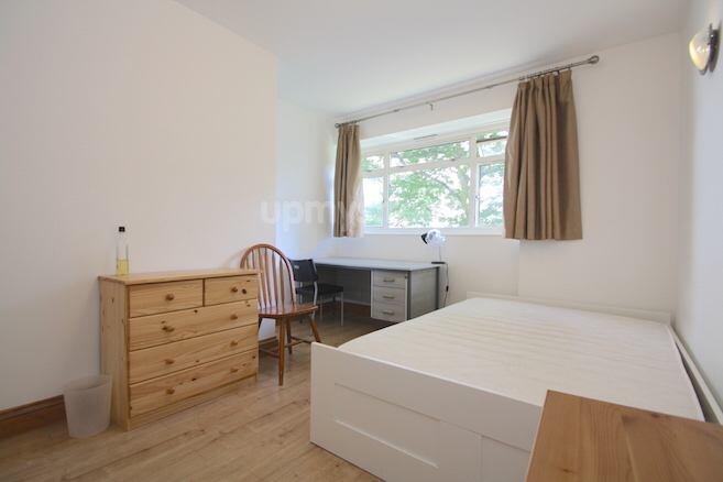 A bright and tidy single bedroom featuring a co...