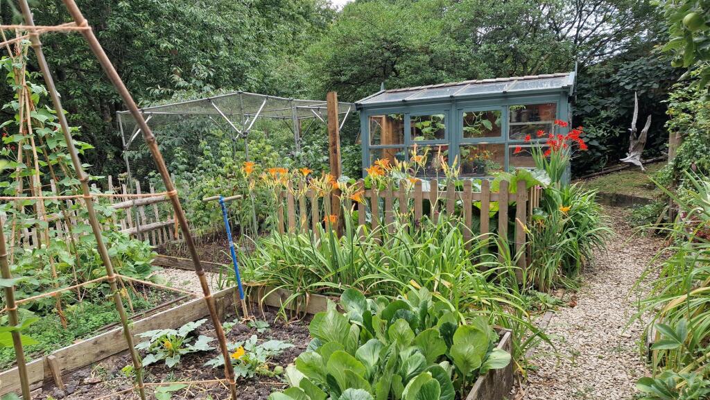 vegetable garden.jpg