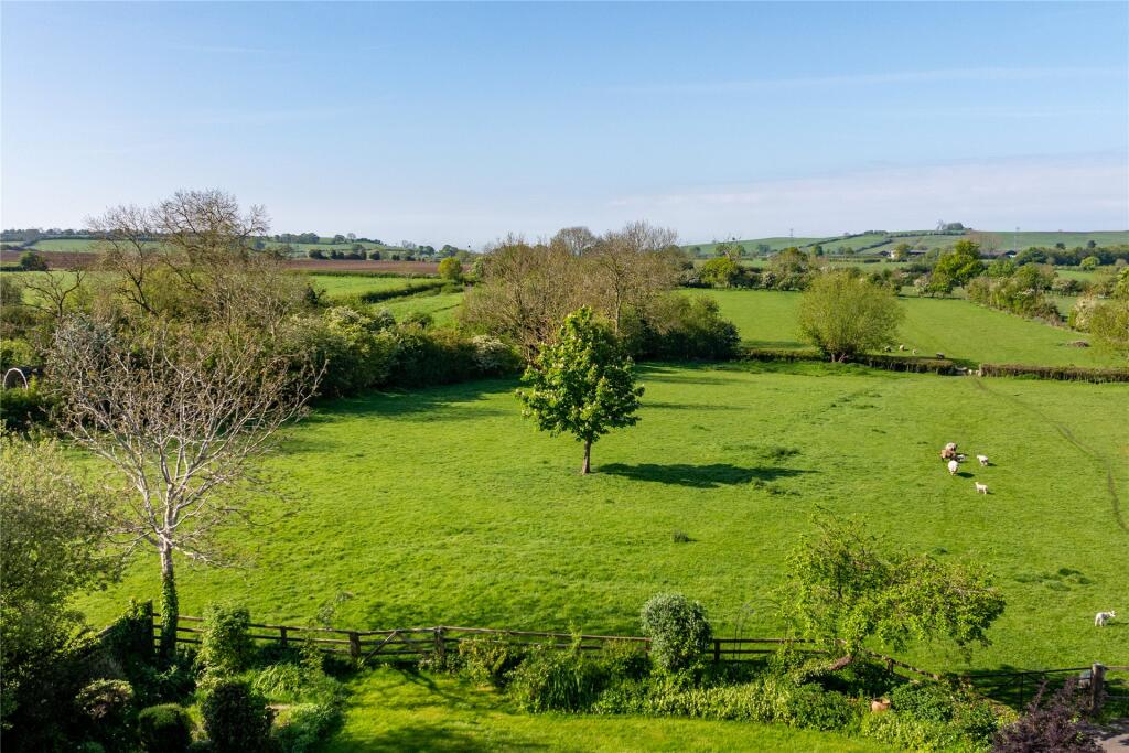 Paddocks
