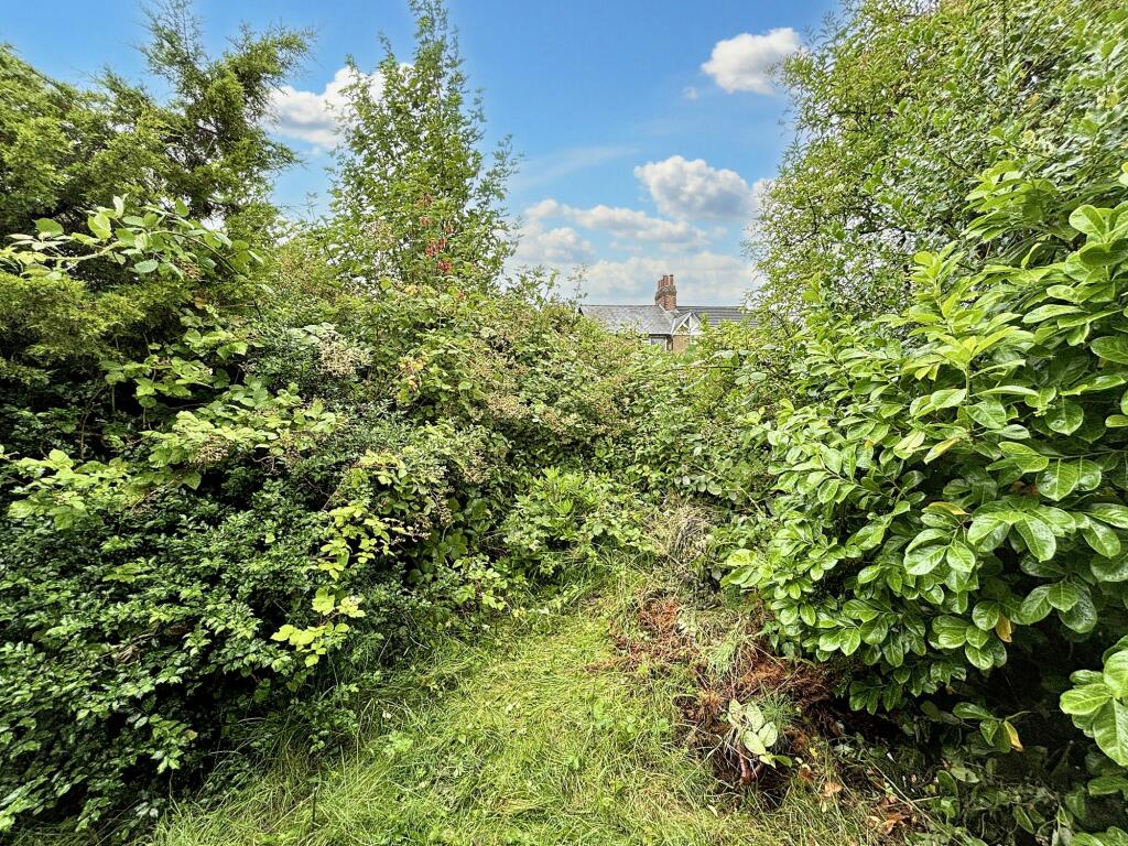Front Garden