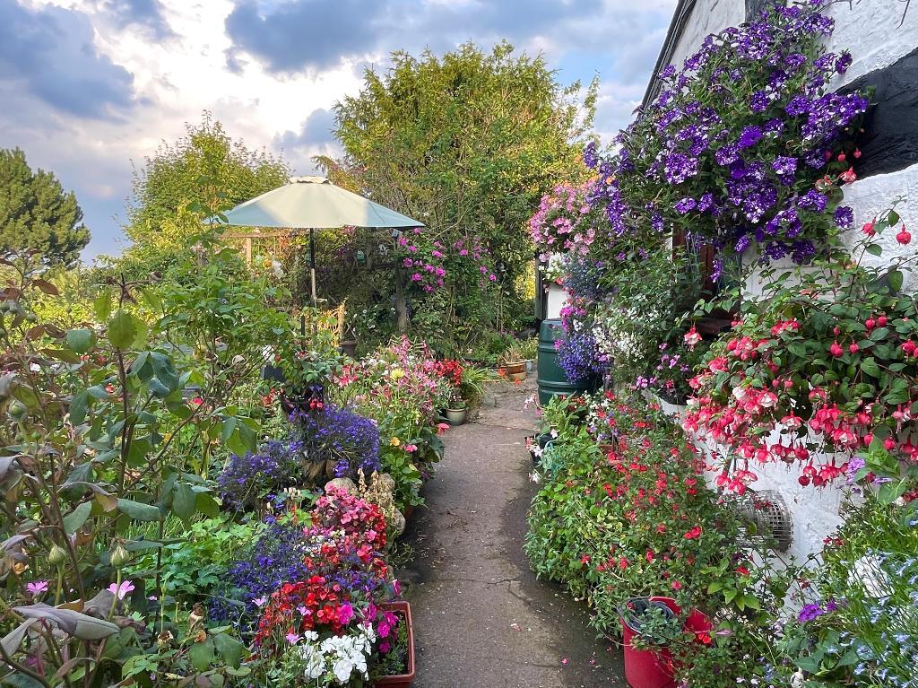 Delightful cottage garden