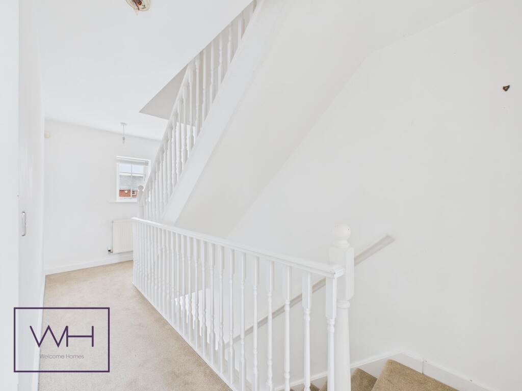 CAM03785G0-PR0303-ST