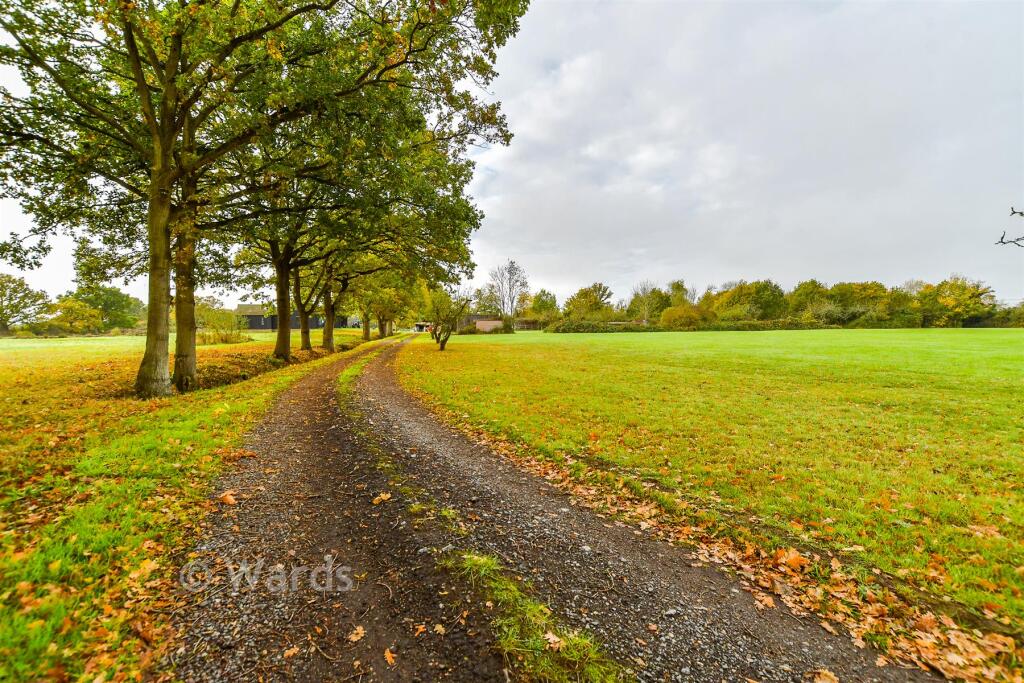 Driveway/Parking