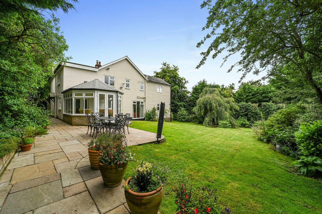 PT-DB(LH)-WalnutH...