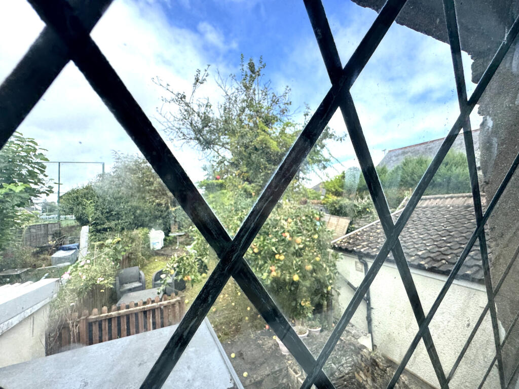 IMG_8321.jpeg