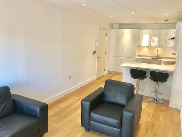 Living Room and Kitchen