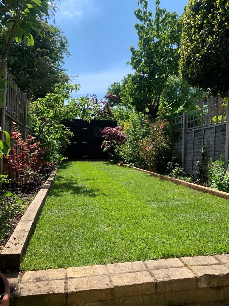 Garden (in summer)