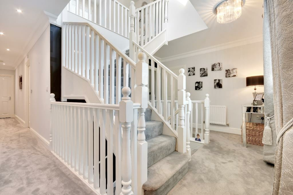 dsc_8980-dsc_8984 (Portal Size).png