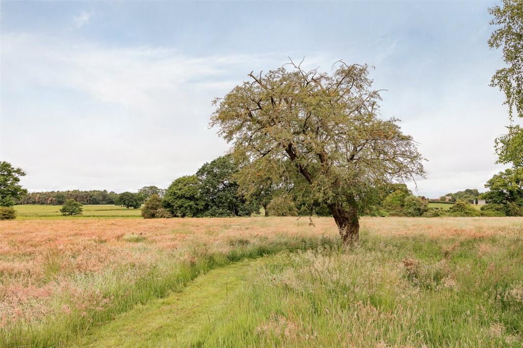 Grounds