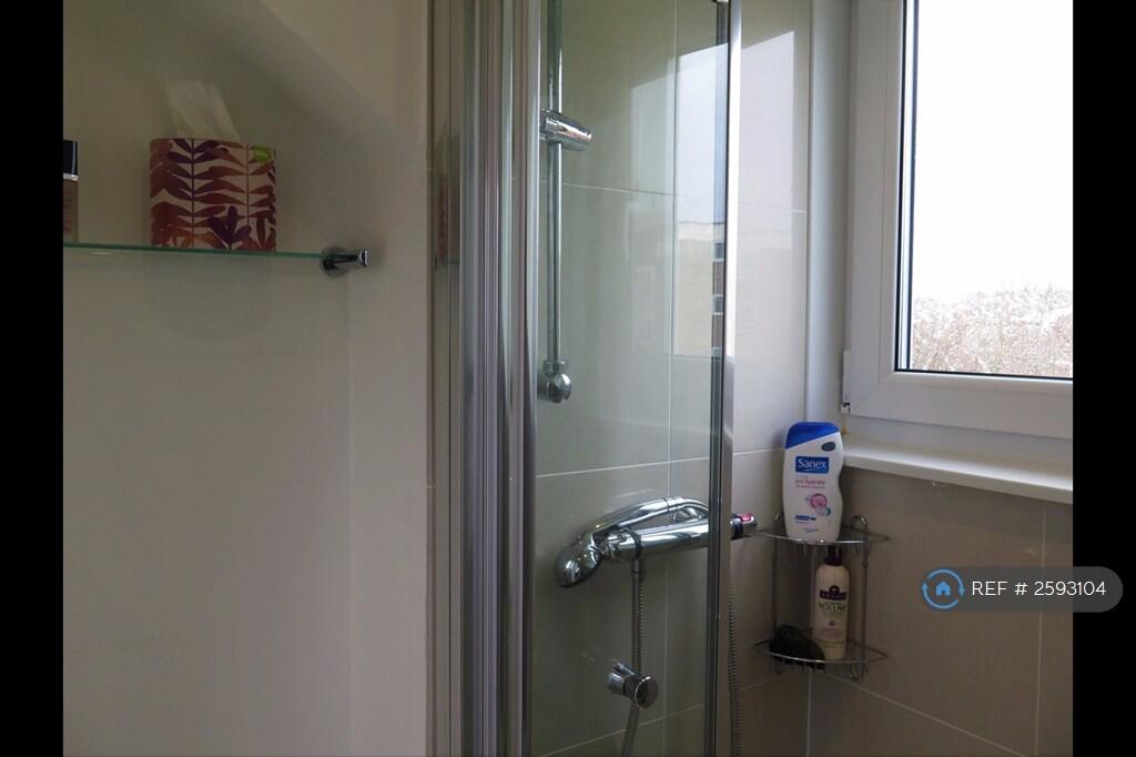 Bathroom - Shower 