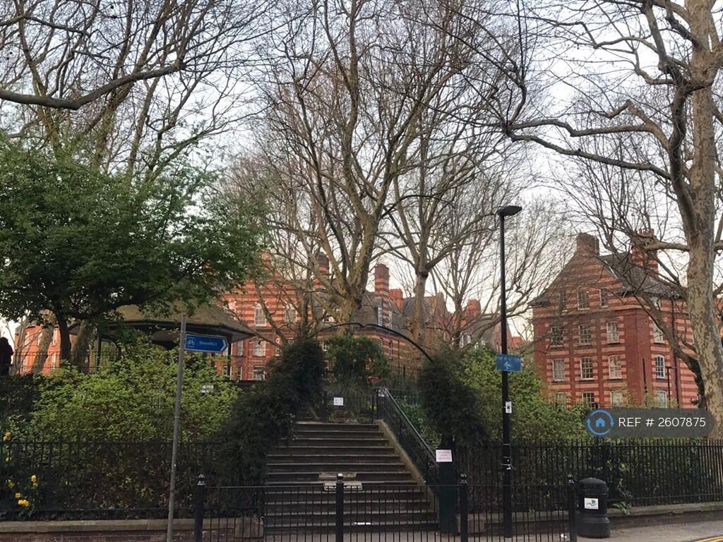Arnold Circus 