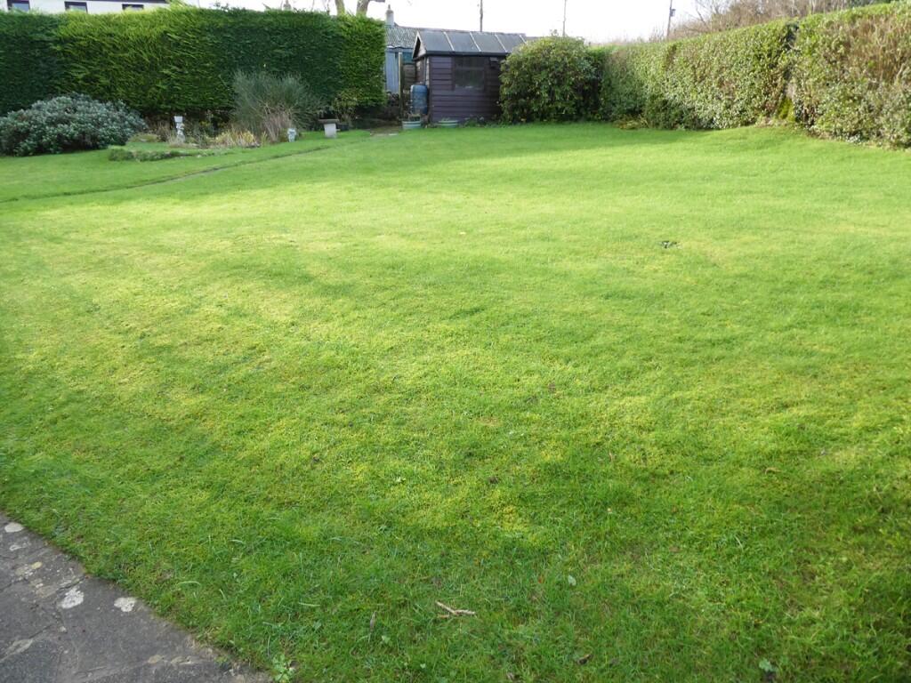Large side garden