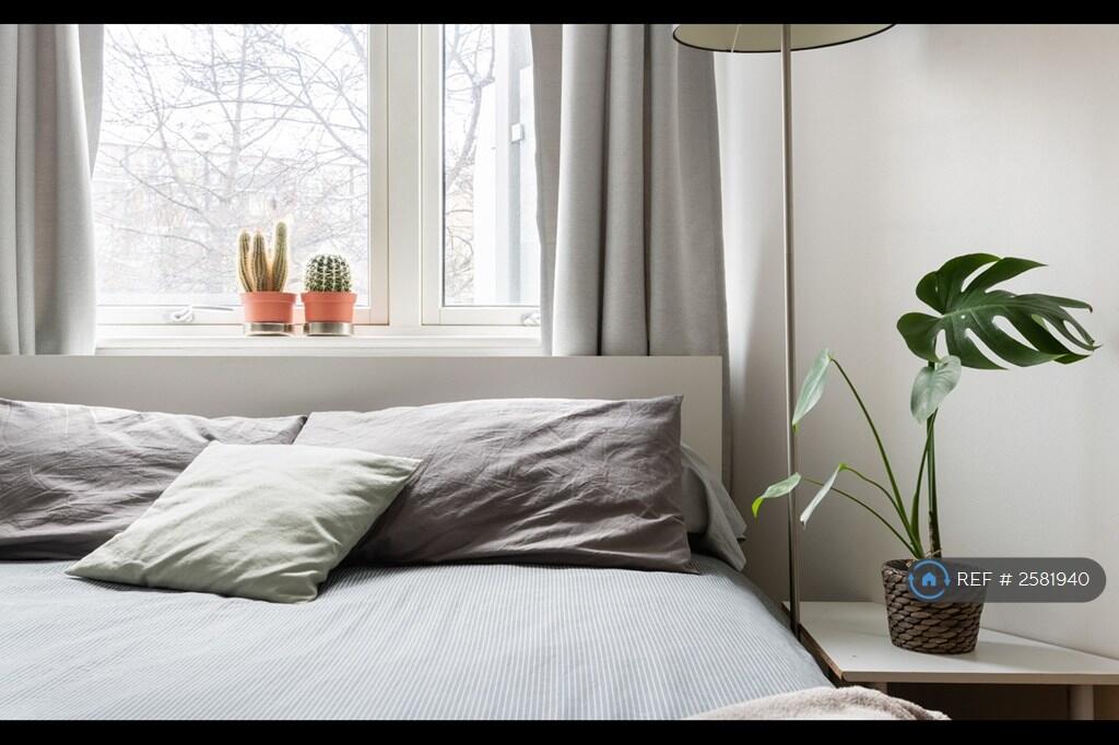 Large Bedroom With a Spacious Built-In Wardrobe