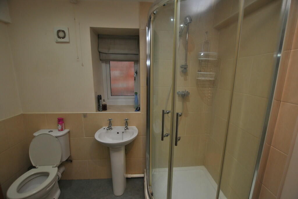 Peackock, Shower ...