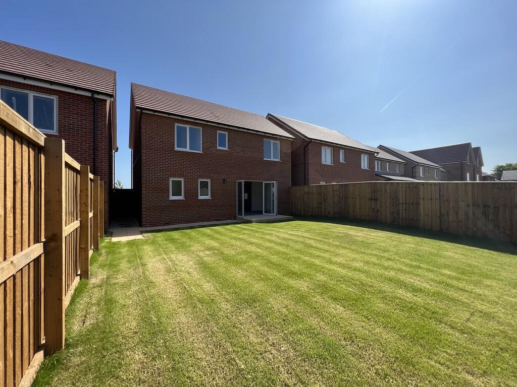 Back Garden