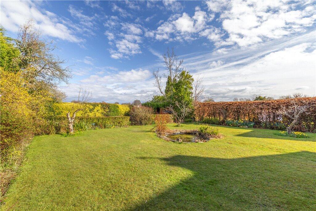 Tree Lined Garden