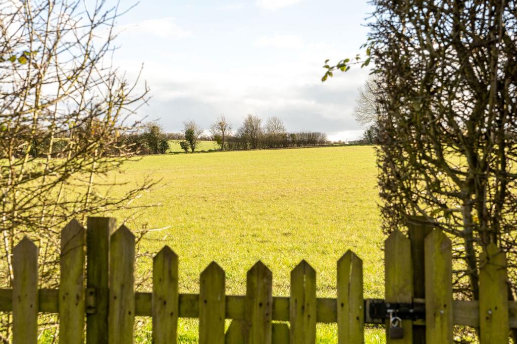 Field Views