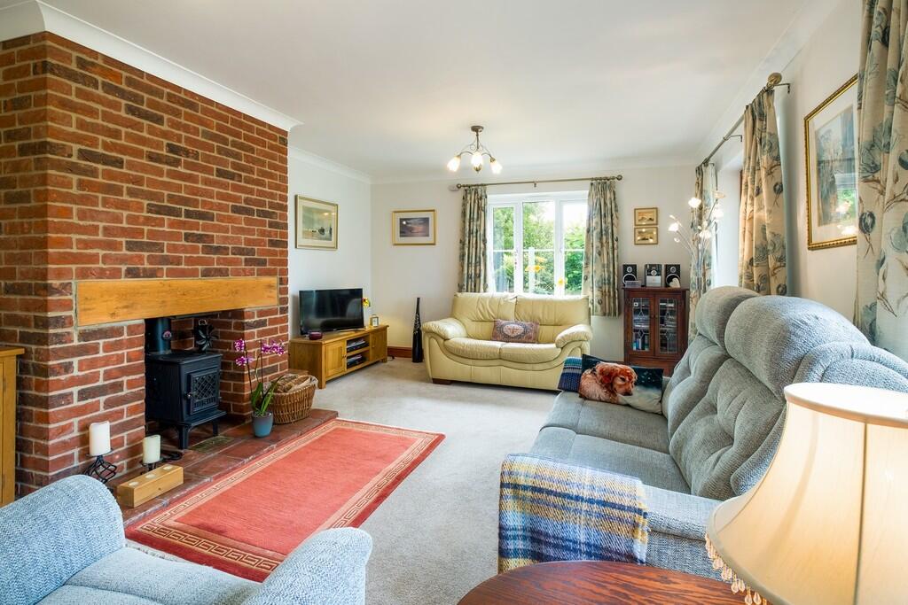 1440px-Hedgehogs-...