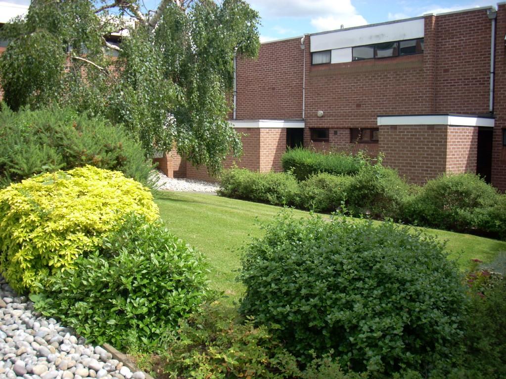 Communal Area
