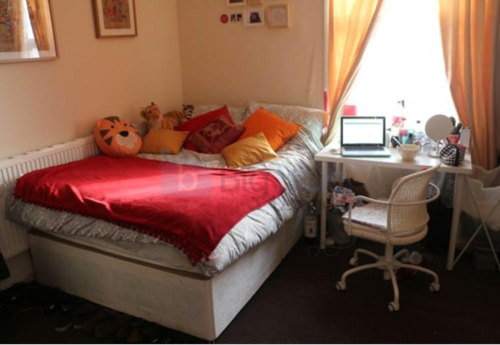 A cozy single bedroom featuring a comfortable b...