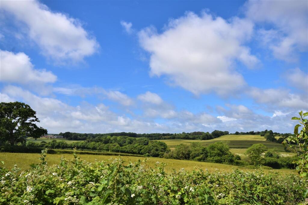 View from Garden