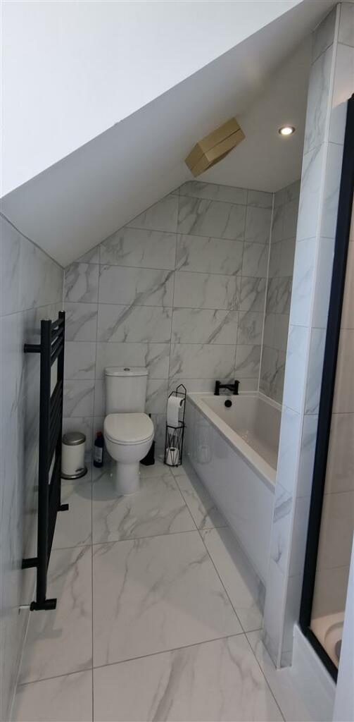 3 Sir Toby 2nfl BRb .jpg