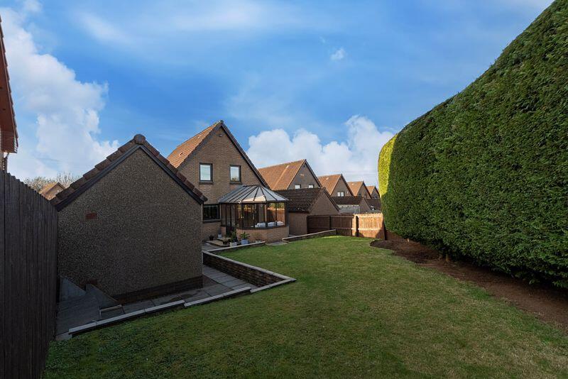 Back Garden