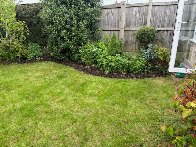 Back Garden