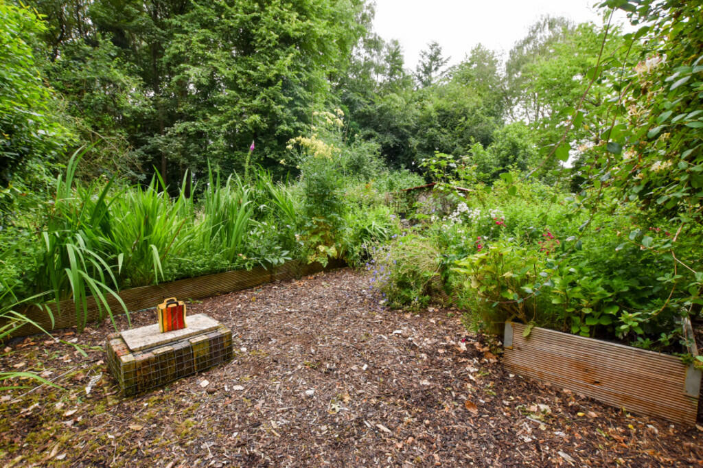 Garden 2