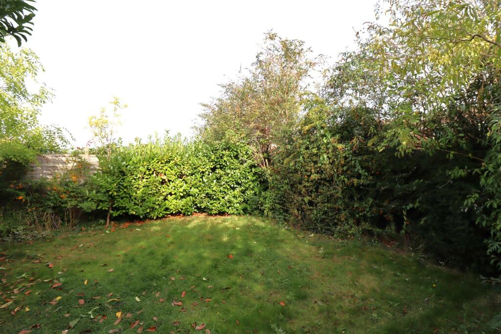 Garden (8).JPG