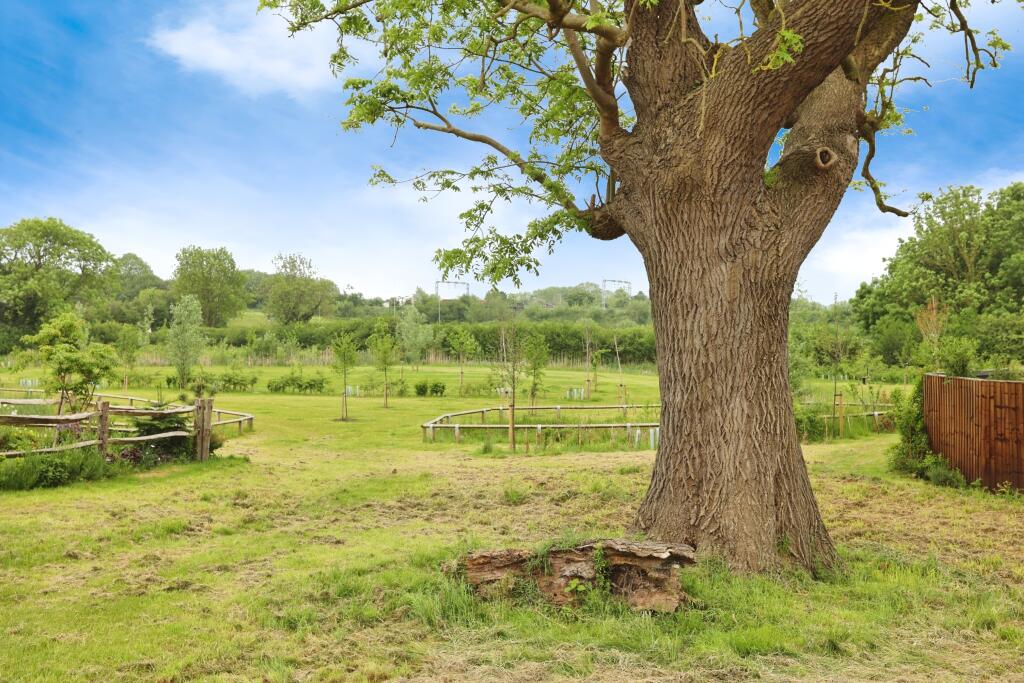 Adjacent Green Space