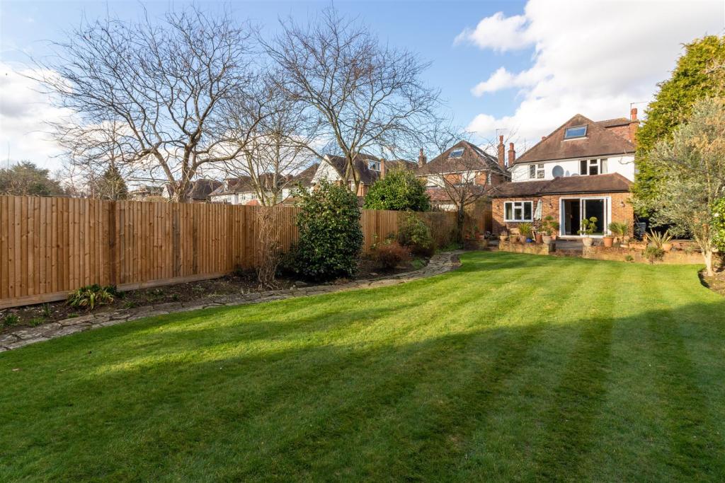 South Facing Garden