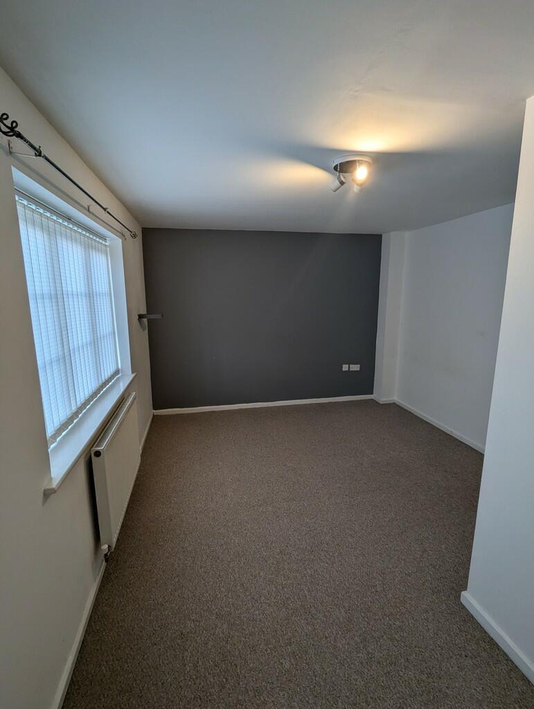 PXL_20241125_1119...