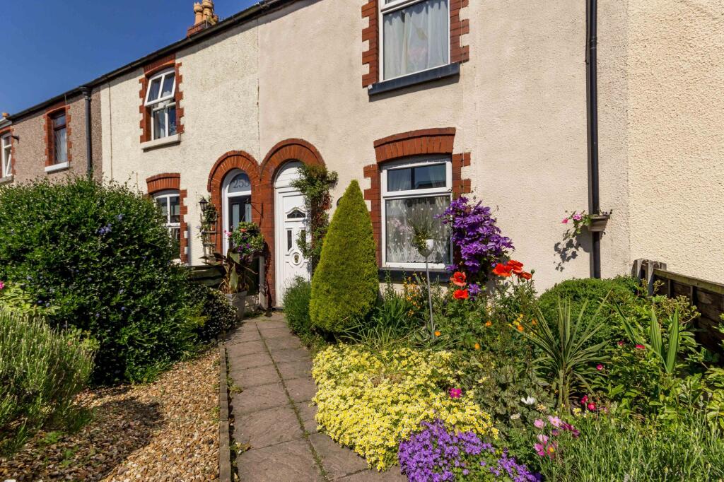 Front garden in summer