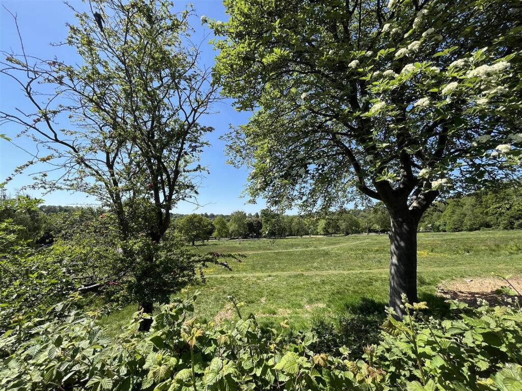 IMG_8715.jpeg
