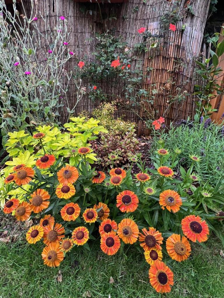 Brettenham Road, E17