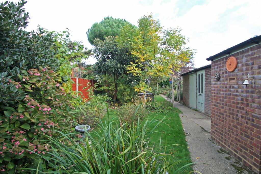 garden i Oct.JPG